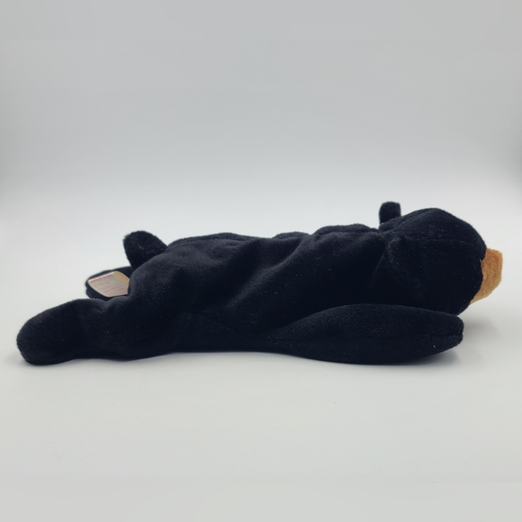 TY Beanie Baby - BLACKIE the Black Bear (8.5 inch) - Picture 2 of 4